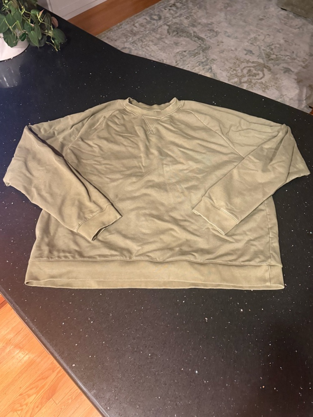 Olive Green Brooklinen Crewneck Sweatshirt